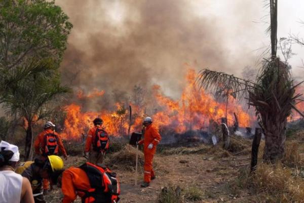 Controlan incendios en parques  Otuquis y Noel Kempff Mercado