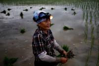 Cambio climático podría  desatar migraciones internas