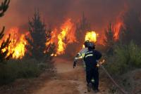 Cuatro nuevos incendios activan alertas en Santa Cruz