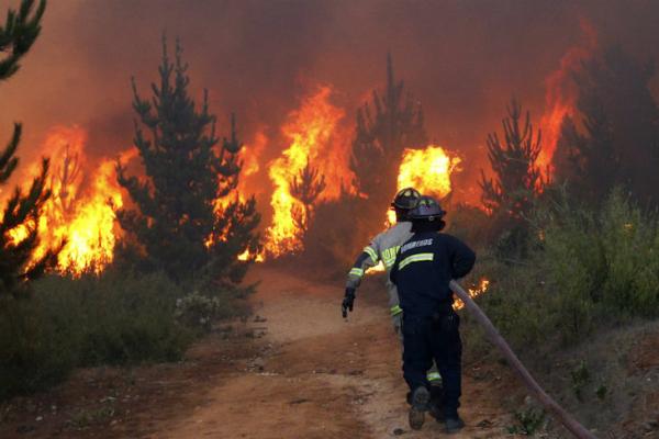 Cuatro nuevos incendios activan alertas en Santa Cruz