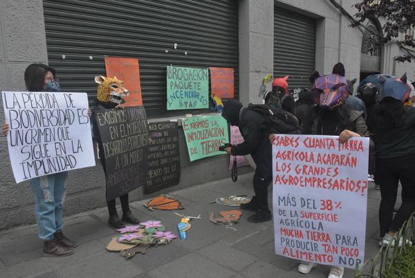 Activistas solicitan proteger  medioambiente y no deforestar