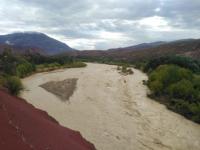 Municipios en emergencia por lluvias y granizadas