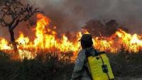 Incendios forestales persisten en 10 municipios cruceños