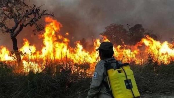 Incendios forestales persisten en 10 municipios cruceños