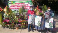 Productores de plantas  lanzan feria ecoambiental