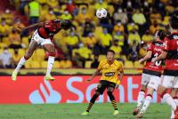 Flamengo se instala en la final de la Libertadores