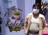 Productores de café buscan  subir oferta en más del 200 %