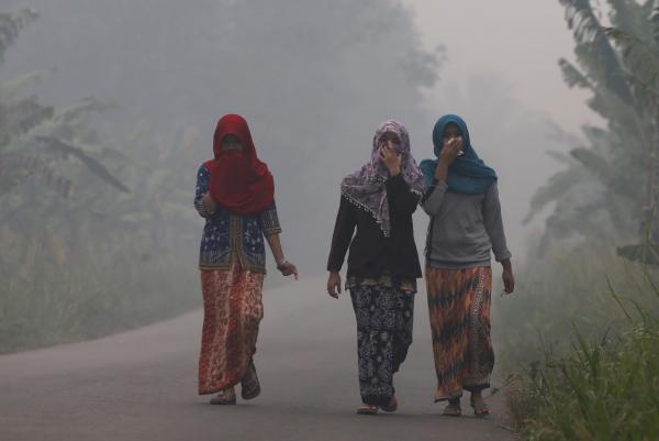 Declaran que acceso a medioambiente  limpio es un derecho humano