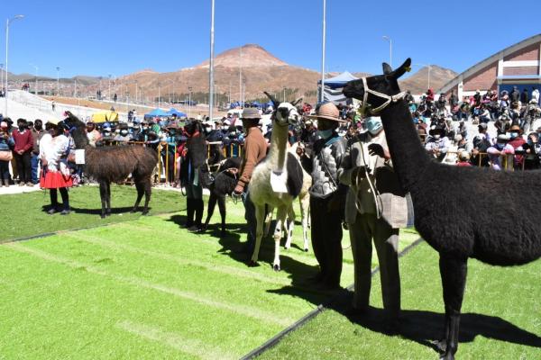 Feria Nacional de Camélidos movió  Bs 121 mil en productos derivados