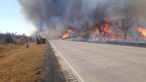 Incendios consumen más  de 2 millones de hectáreas