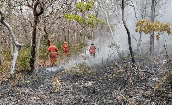 Incendios bajan intensidad por lluvias