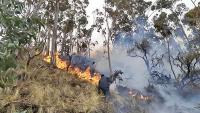 Dos incendios forestales son  controlados por bomberos