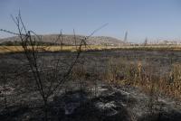 Incendio afecta a 35 hectáreas de laguna  Alalay, activan patrullaje nocturo