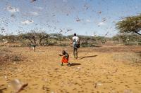 Cambio climático desplazará a  millones de africanos orientales