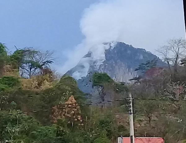 Legisladora pide que Gobierno atienda incendios en el Pilón Lajas