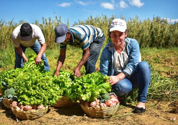 Bolivia con seguridad alimentaria  pero aún está lejos de soberanía