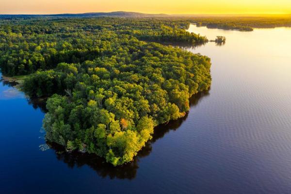 Amazonía acelera su degradación  con la deforestación permanente