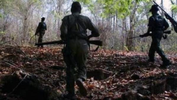 Guerrilleros muertos en enfrentamientos