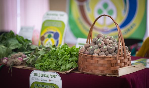 Feria del consumo de alimentos  ecológicos será en San Francisco