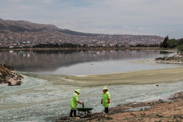 Alcaldía inicia limpieza de  microalgas de Laguna Alalay