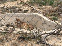 Bioparque Urbano está descuidado y sin agua