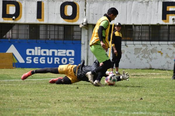 Vaca está  recuperado