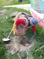 Reforestan plazas y áreas  verdes paceñas