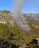 Incendios forestales generan 1.760  toneladas de emisiones de carbono