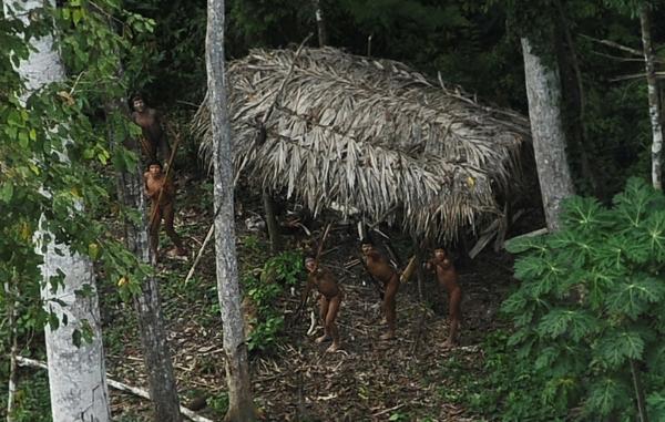 Tribus amazónicas están en peligro  de extinción en Perú y Brasil