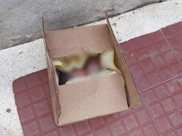 Aprehenden a una pareja con  un feto en una caja en El Alto