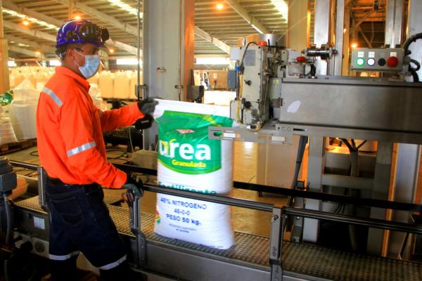 Planta de Amoníaco y Urea proyecta  vender 600 mil toneladas en 2022