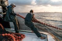 Rusia detiene a dos  pescadores ucranianos