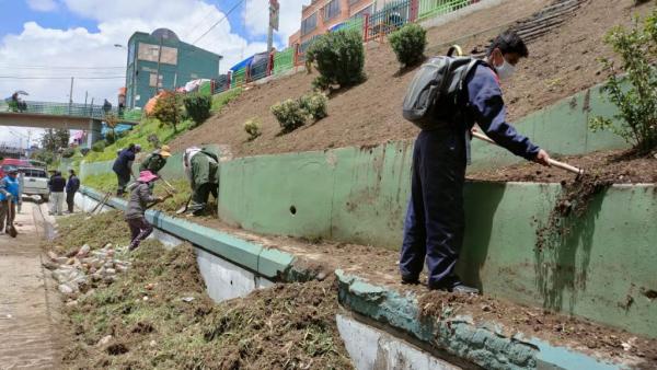 Alcaldía alteña realiza limpieza en  jardineras de avenida 6 de Marzo