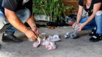 Reportan 23 muertos  por consumo de cocaína