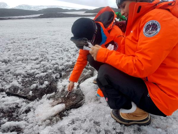 Científicos plantean usar microbios contra contaminación en Antártida