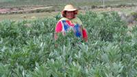 Tres sectores impulsan economía  de Oruro