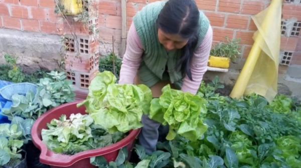 Trabajo y producción de  agricultores aún no se valora