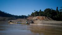 Cambio en pureza del agua en el Madidi evidencia minería ilegal