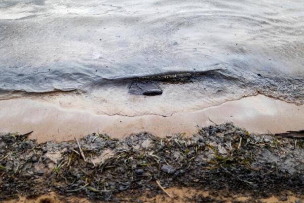 Academia de Venezuela alerta daños  al ambiente por derrame de crudo