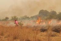 Incendios arrasan con 800.000  hectáreas en provincia Corrientes