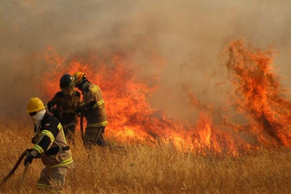 80.000 hectáreas son arrasadas y  muere un boliviano por incendios