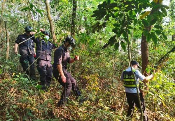 Equipos de rescate no hallan  supervivientes de siniestro aéreo