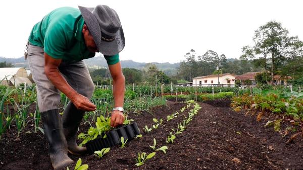 Estados Unidos de lejos el mejor mercado para productos orgánicos