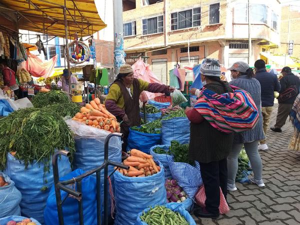 Producción nacional abastecen mercados en zona sur de El Alto