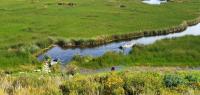 Plantean situar lagunas de sedimentación y  evitar colmatación del lecho del lago Titicaca