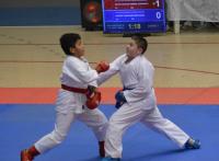 Karate: Bolivia tiene su equipo para los Juegos