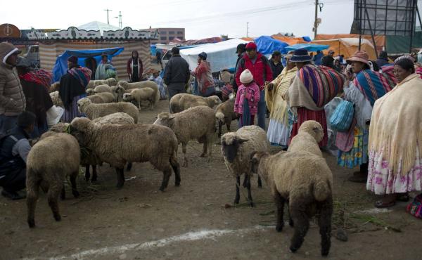 Feria de Ramos de este año  se realizará en tres distritos