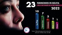 Bolivia registra  23 feminicidios