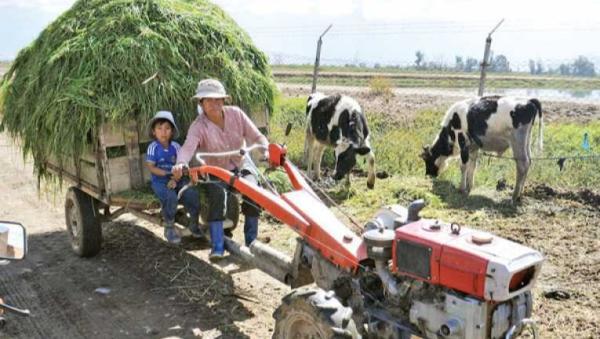 La Expo Agro promueve  reactivación agropecuaria