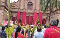 Comienza Semana Santa con Domingo de Ramos